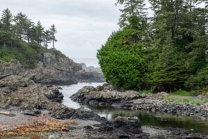 Tofino and the best places to stay in tofino