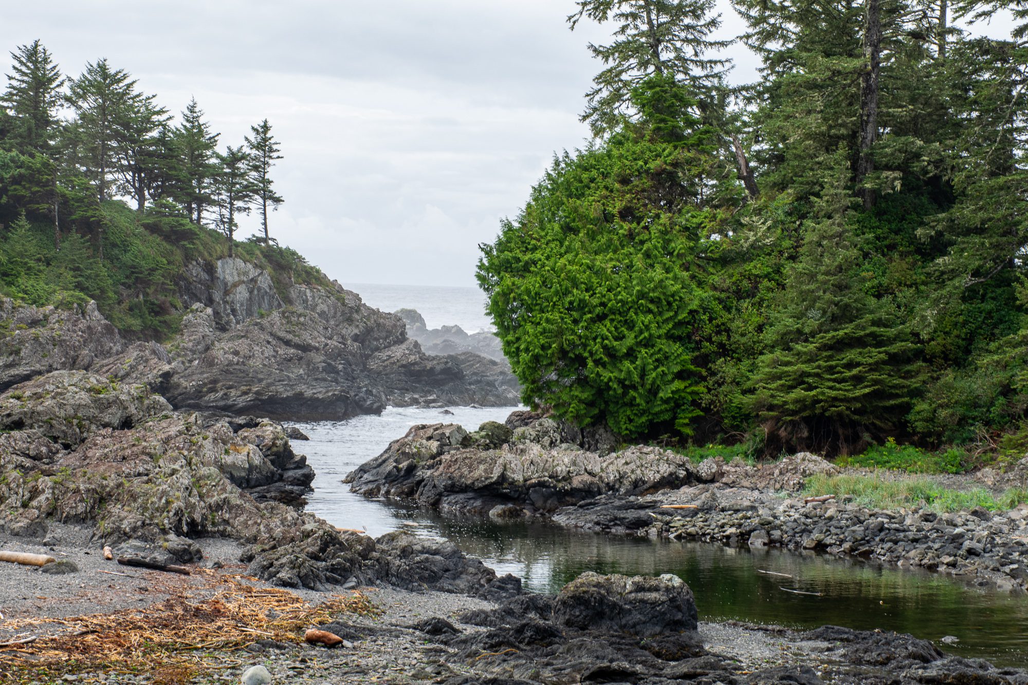 10 Spectacular Places To Stay In Tofino, BC - Wheatless Wanderlust