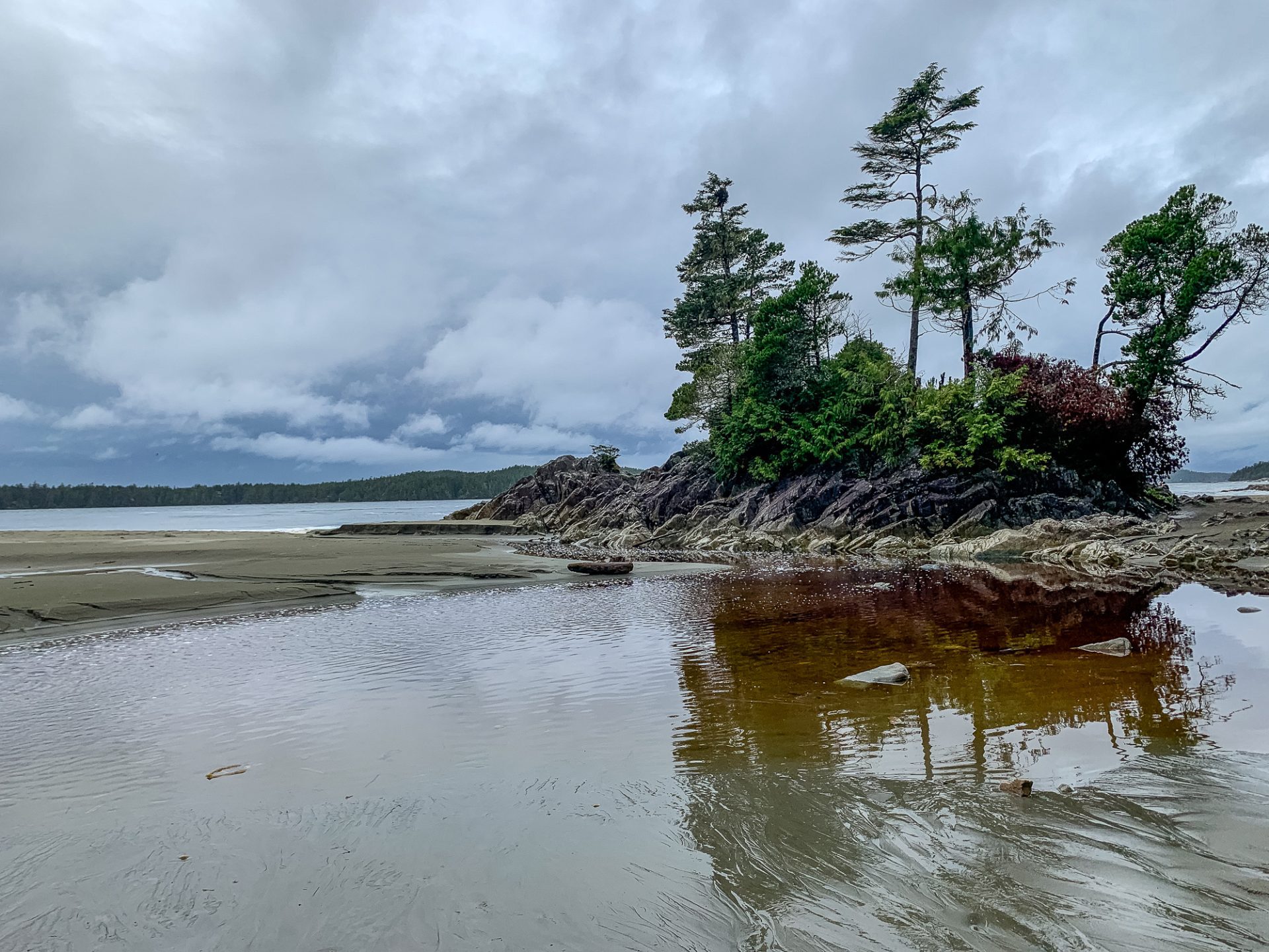 16 Of The Best Airbnbs On Vancouver Island