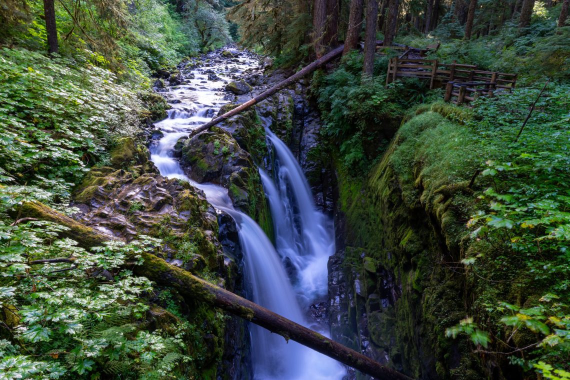 The 14 Best Hikes In Olympic National Park: A Complete Guide