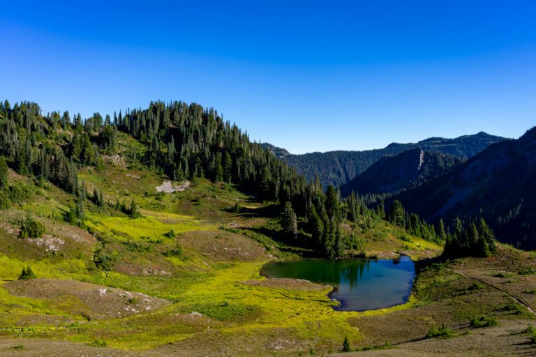 How To Plan An Amazing Olympic National Park Itinerary