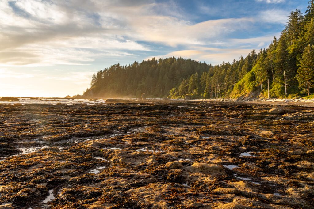 How To Plan An Amazing Olympic National Park Itinerary