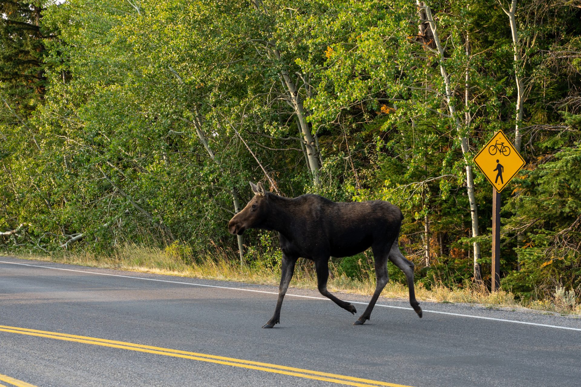 How To Plan An Amazing Grand Teton National Park Itinerary