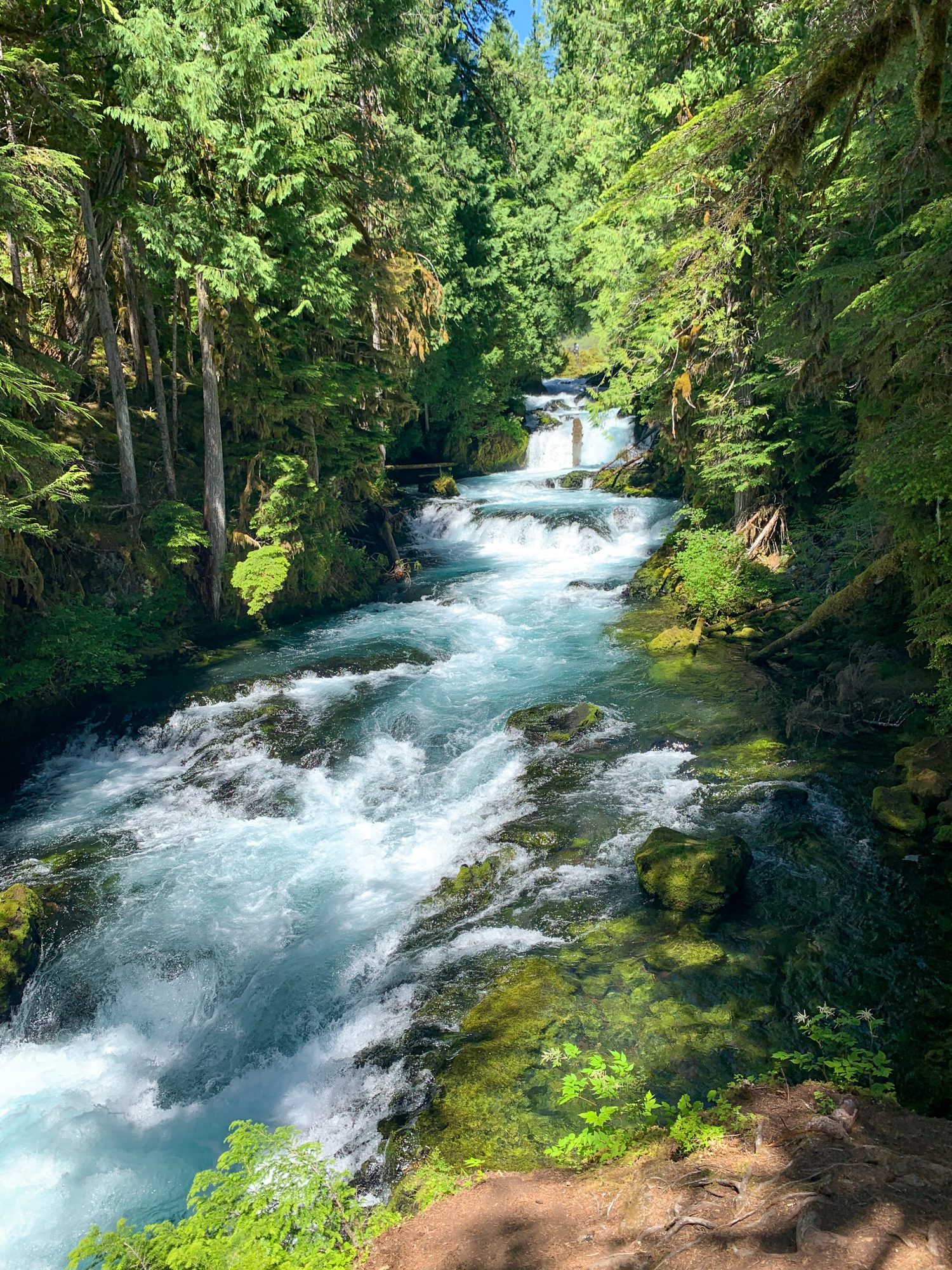 The 12 Best Hikes In Bend, Oregon That You'll Love