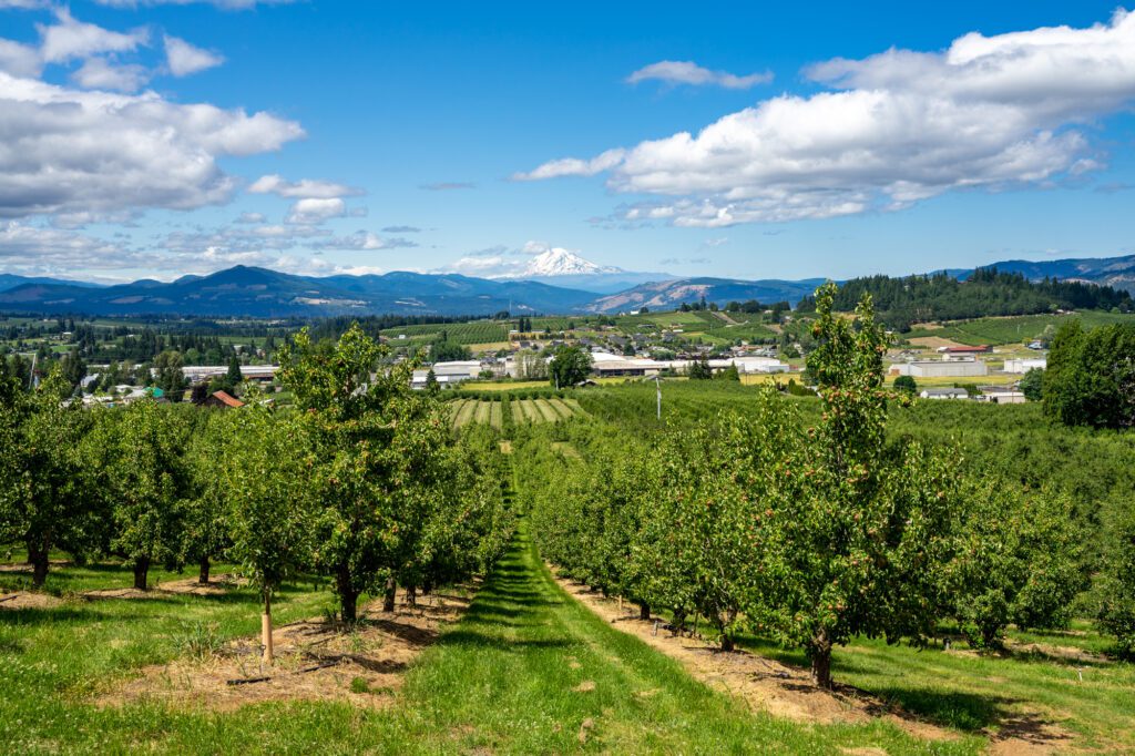 family day trips oregon