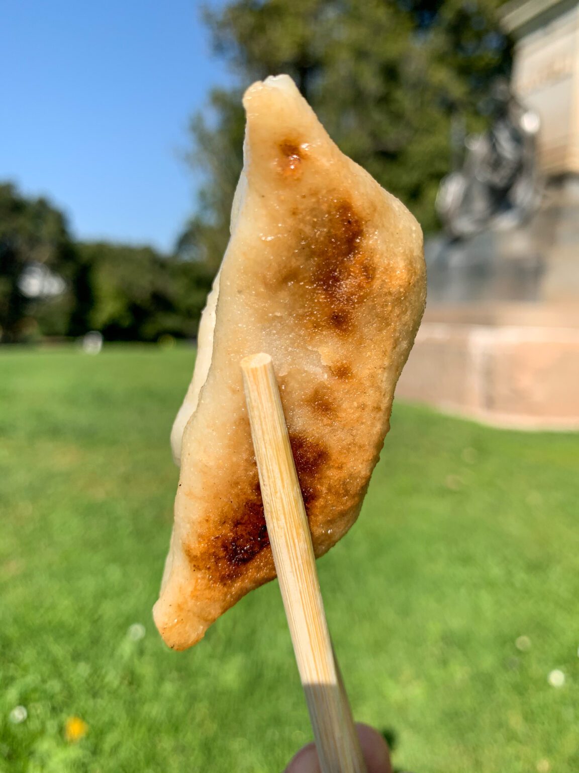 Gluten Free Philadelphia: A Complete Guide For Celiacs