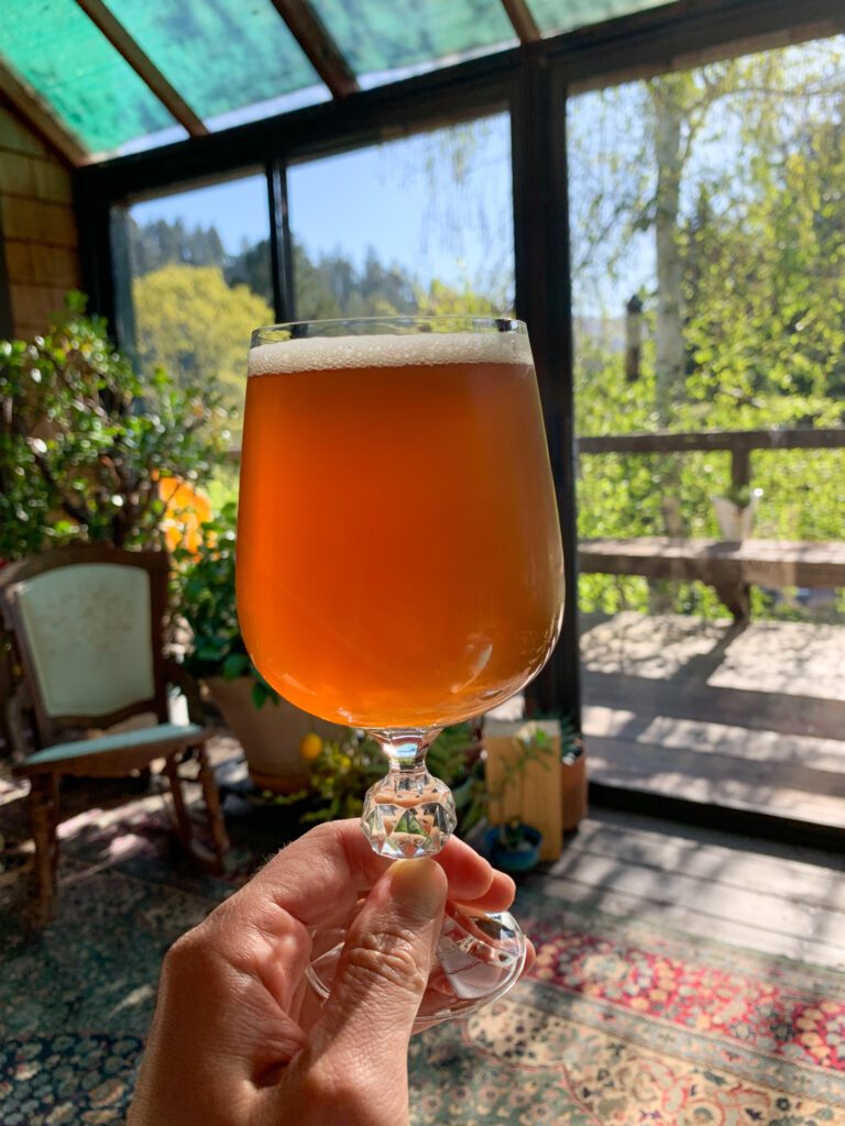 14 Amazing Gluten Free Breweries For Gluten Free Beer Lovers