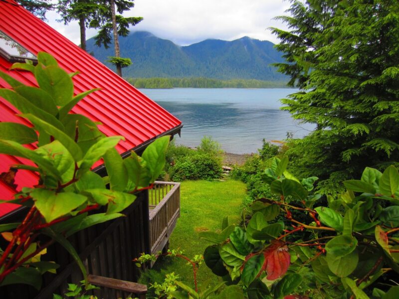 16 Of The Best Airbnbs On Vancouver Island