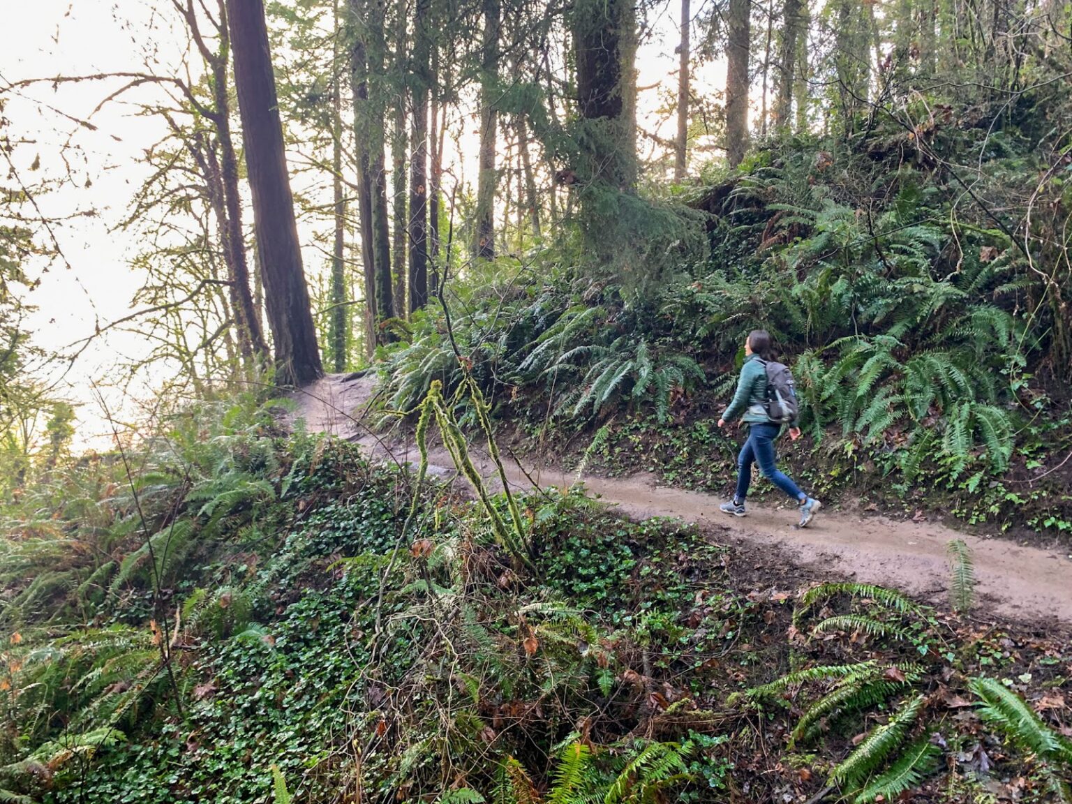 The 12 Best Hikes Near Portland A Complete Hiking Guide