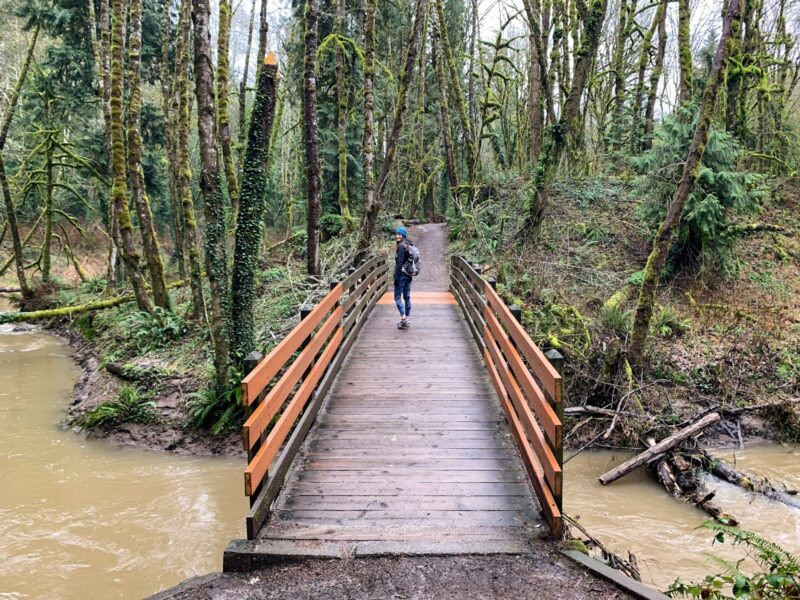 The 12 Best Hikes Near Portland: A Complete Hiking Guide