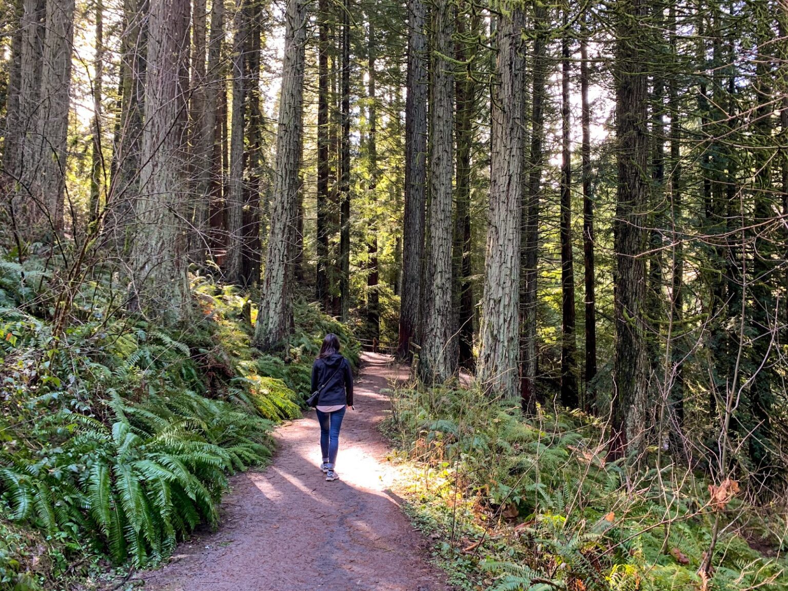 The 12 Best Hikes Near Portland A Complete Hiking Guide