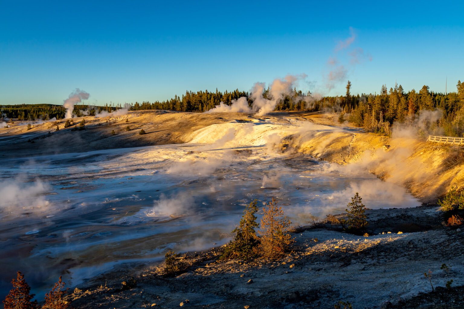 Complete 7 Day Yellowstone And Grand Teton Itinerary