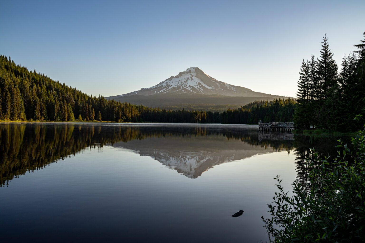 25 Amazing Cabins In Oregon For Your Next Getaway