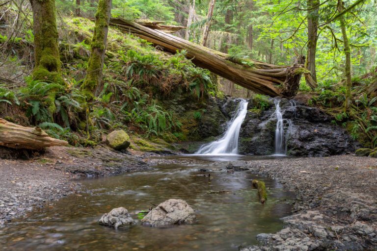 5-amazing-hikes-on-orcas-island-a-complete-hiking-guide
