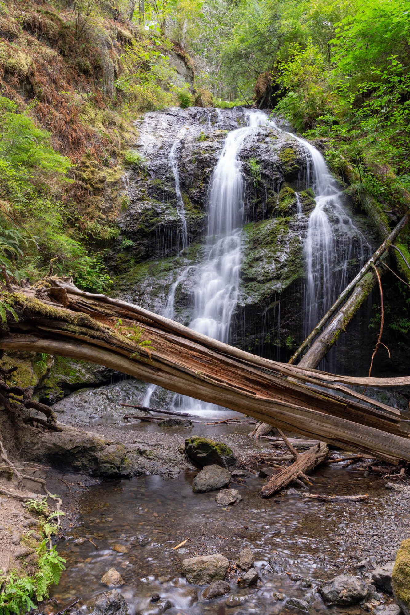 5 Amazing Hikes On Orcas Island: A Complete Hiking Guide