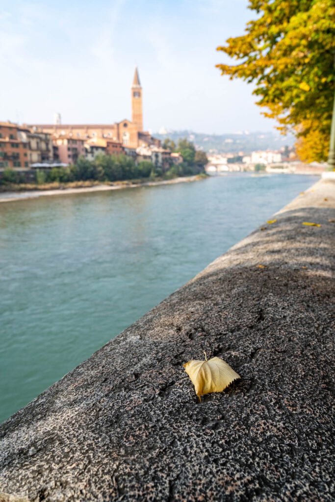 one traveller verona