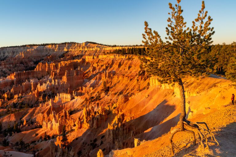One Day in Bryce Canyon: Complete Bryce Canyon Itinerary
