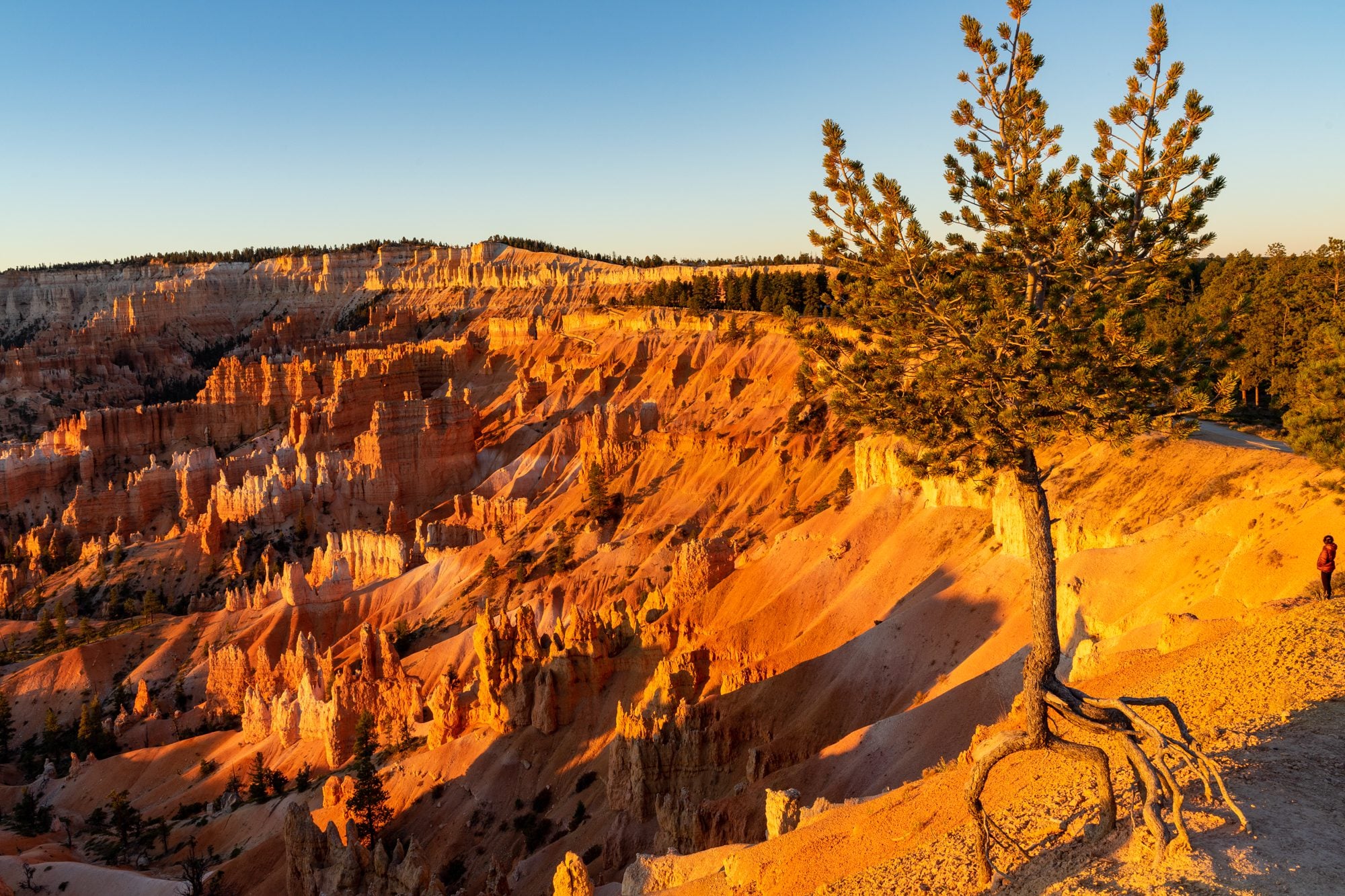One Day In Bryce Canyon: Complete Bryce Canyon Itinerary