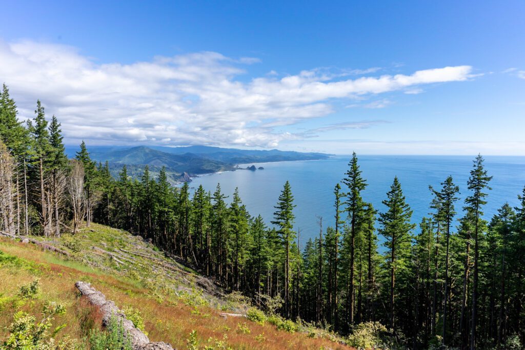 oregon road trip coast