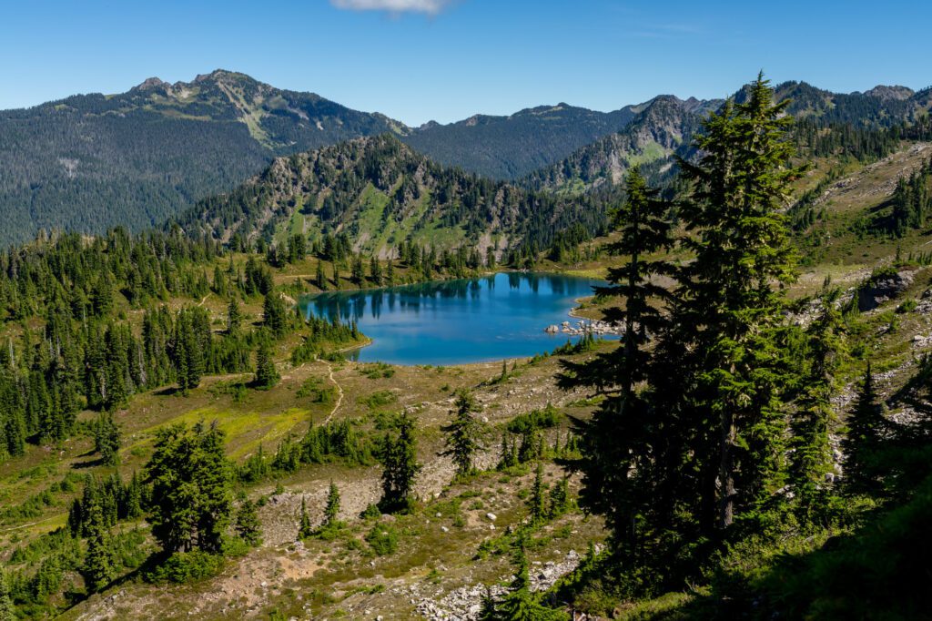 olympic national park driving tour