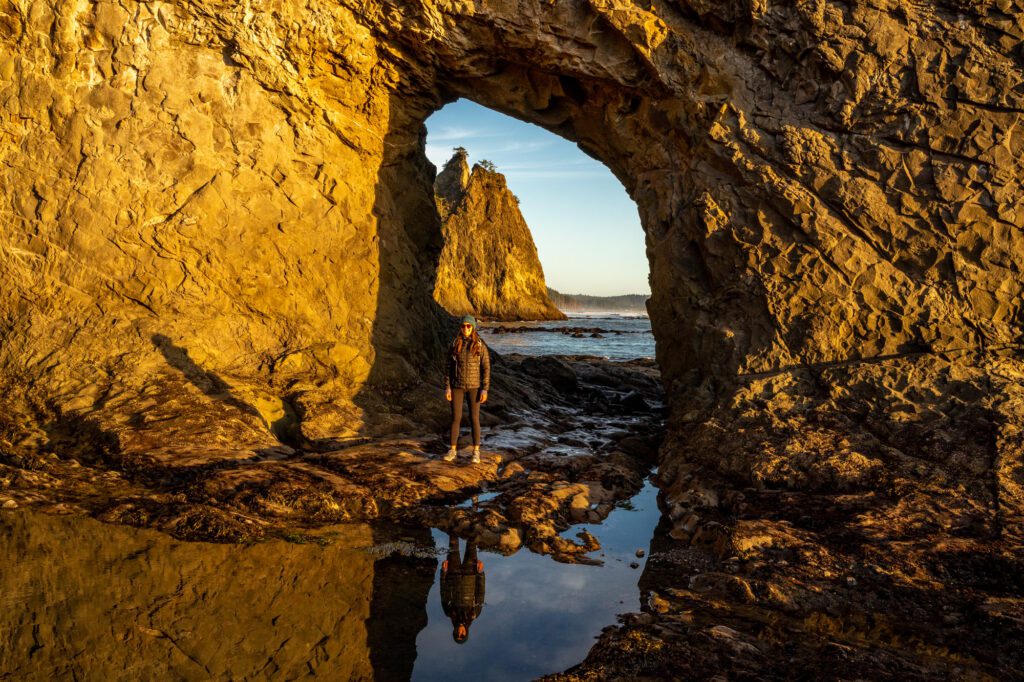 olympic national park driving tour