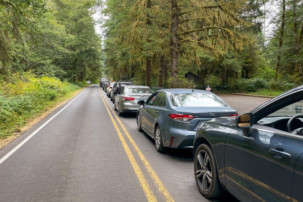 olympic national park driving tour