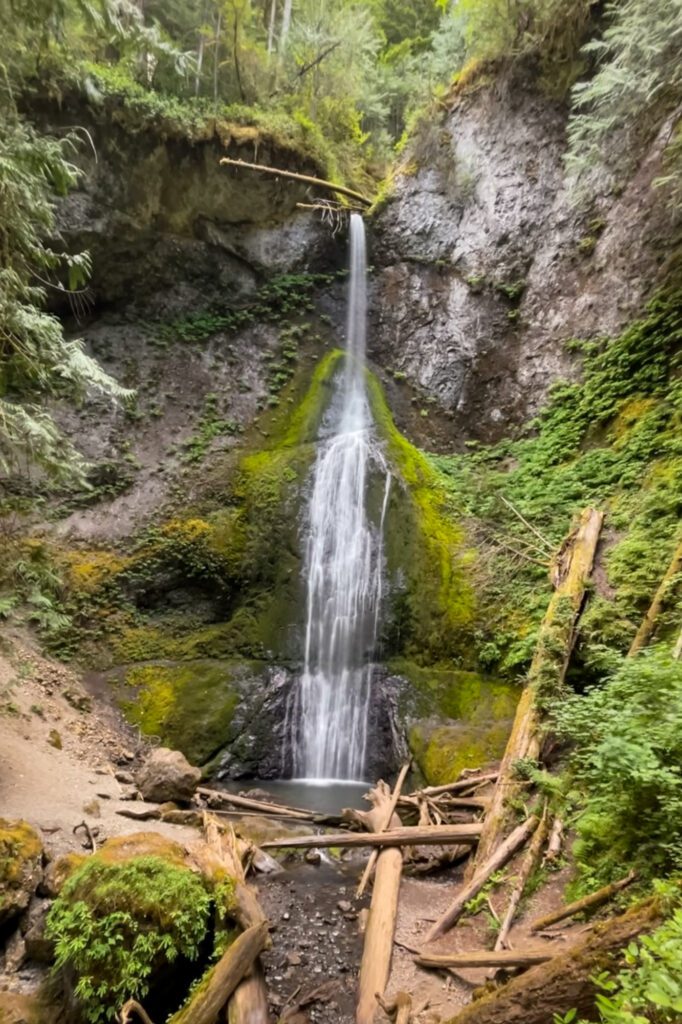 olympic national park driving tour