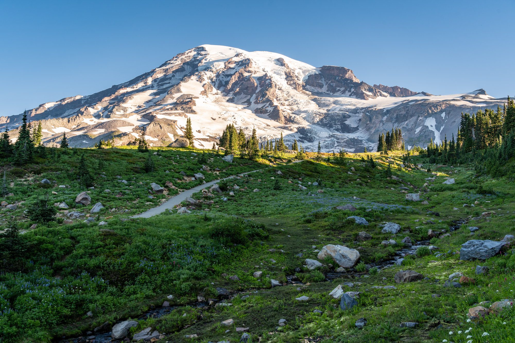 Skyline Trail And Panorama Point Hiking Route In Washington FATMAP