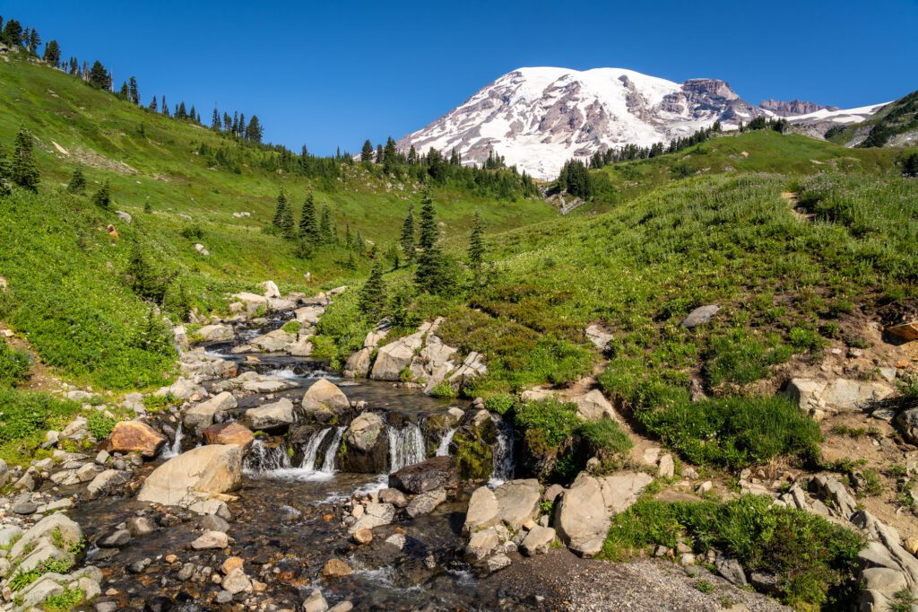 Paradise at Mount Rainier picturesque meadows