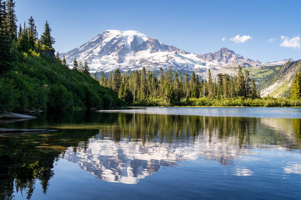 Reflections in Reflection in Bench Lake in Mount Rainier National Park