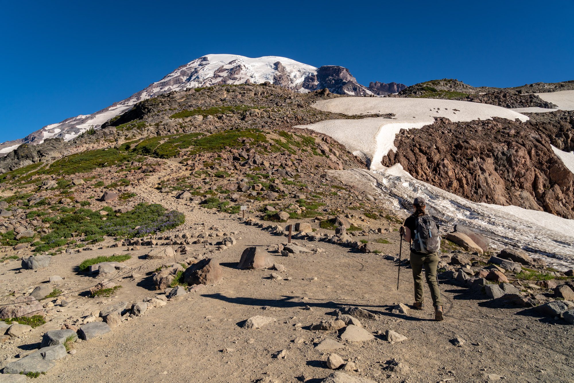 How To Hike The Incredible Skyline Trail At Mt. Rainier