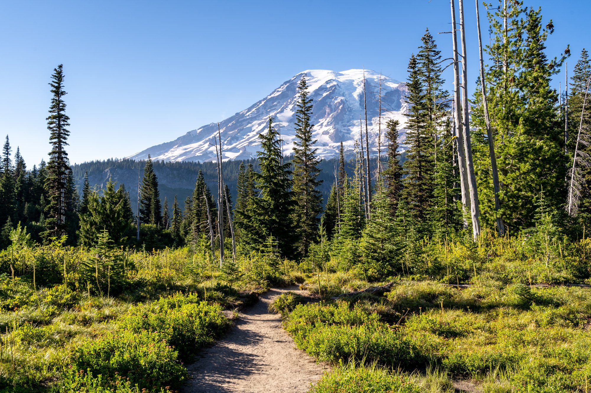 Mount Rainier to stop taking cash at entrance, campgrounds