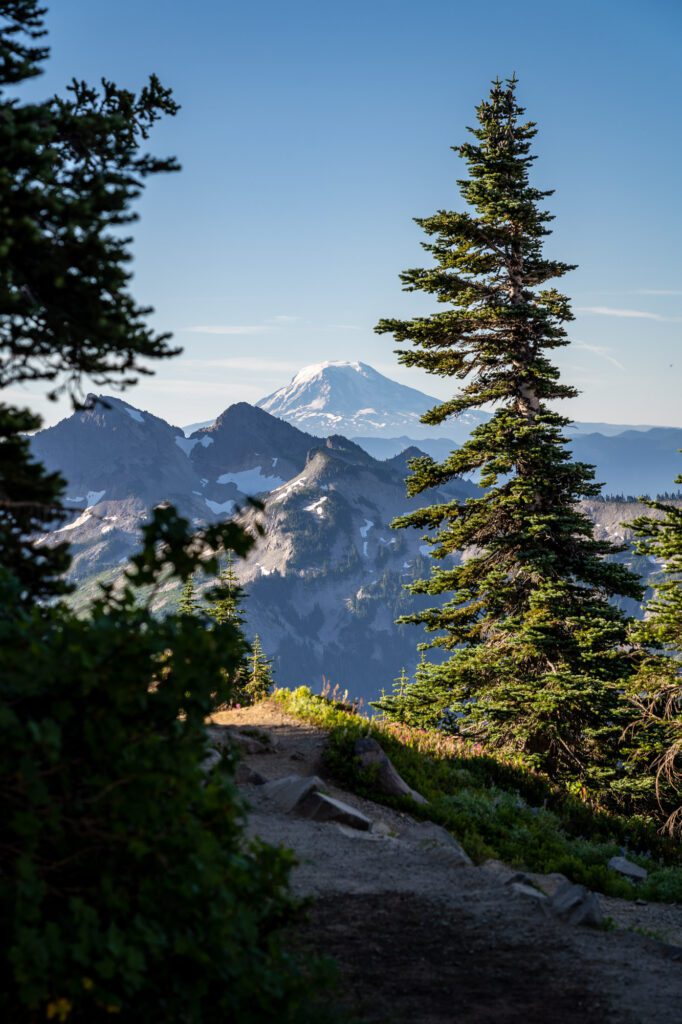 Best Times of Year to Visit Mt. Rainier - Shutter Tours ®Shutter Tours ®