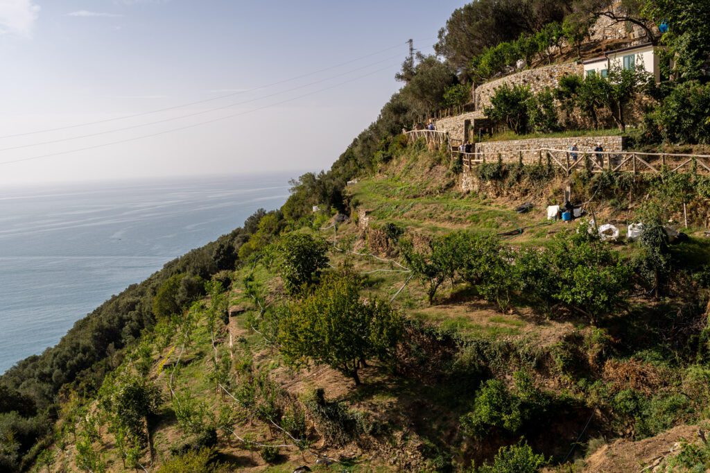 cinque terre tour 2 giorni