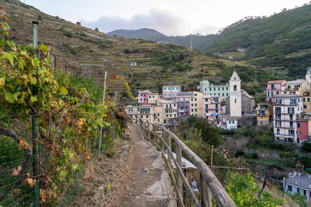 cinque terre tour 2 giorni