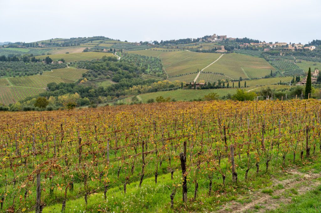 tuscany trip planner