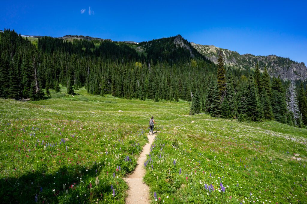 BrittanyWanderlust: BEST DAY HIKES IN MOUNT RAINIER NATIONAL PARK