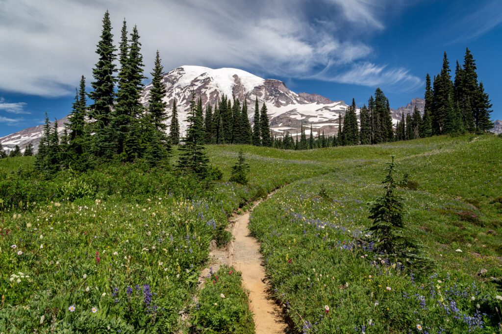 Day trip discoveries: Enjoy a local getaway to Mount Rainier National Park