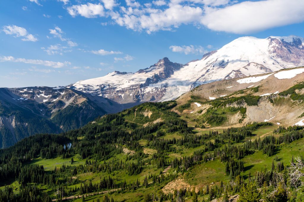 Mount Rainier Hikes: Best Trails and Everything You Need to Know - Explore  with Alec