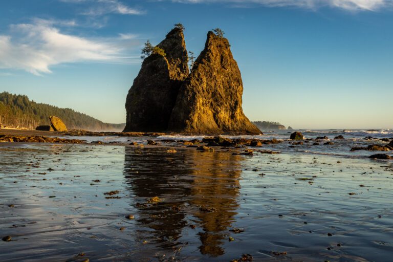 17 Amazing Things to Do in Olympic National Park in 2023