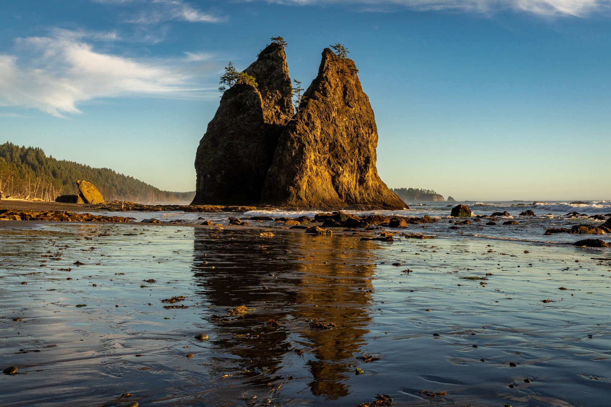 The Best Things To Do In Olympic National Park