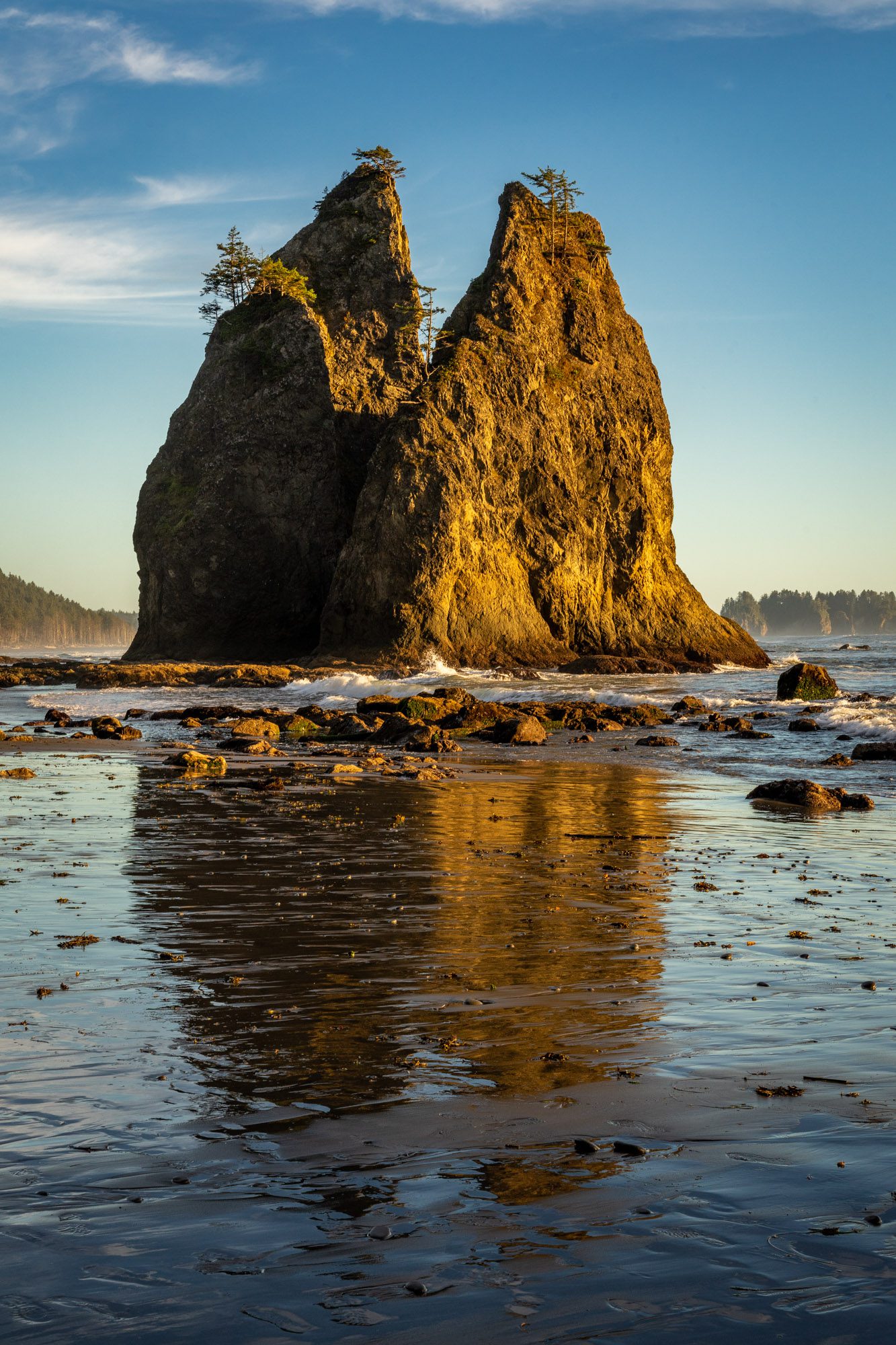 The Best Things To Do In Olympic National Park