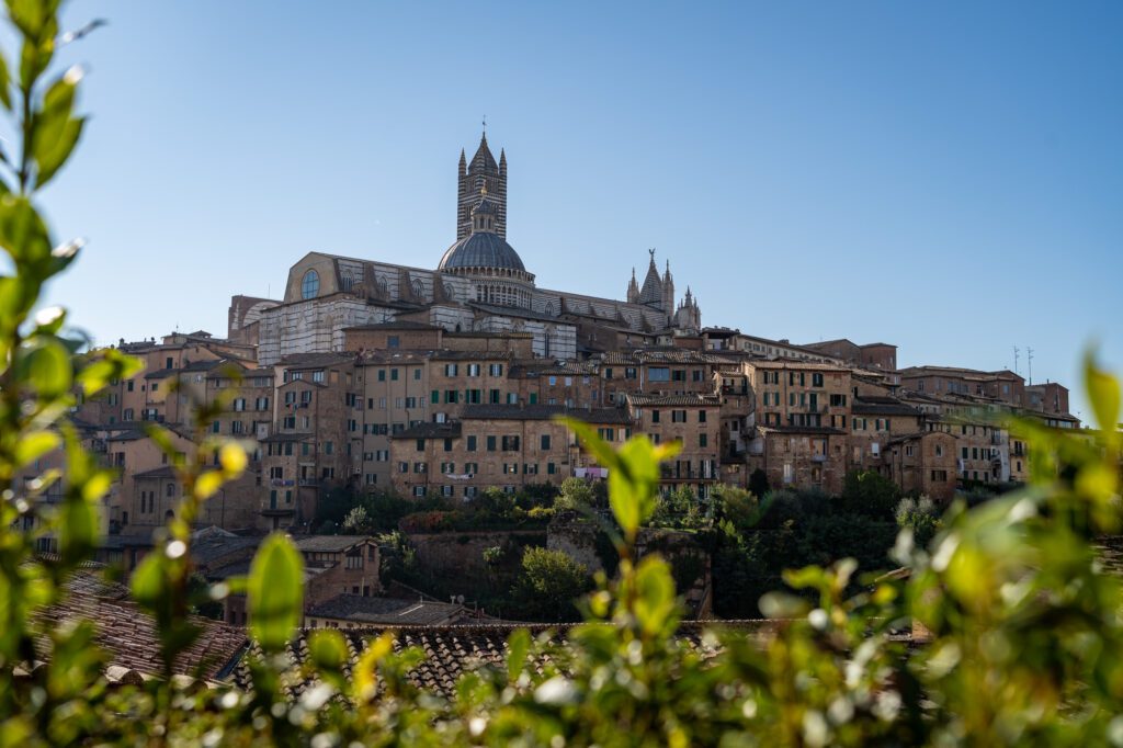 day trips in tuscany