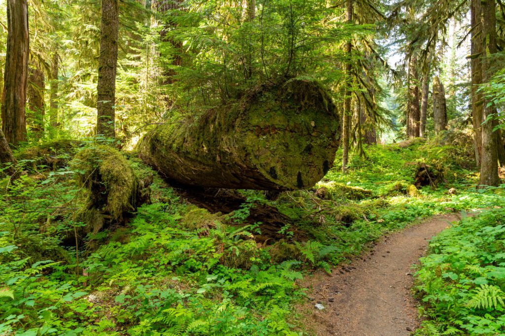 pacific northwest camping trip