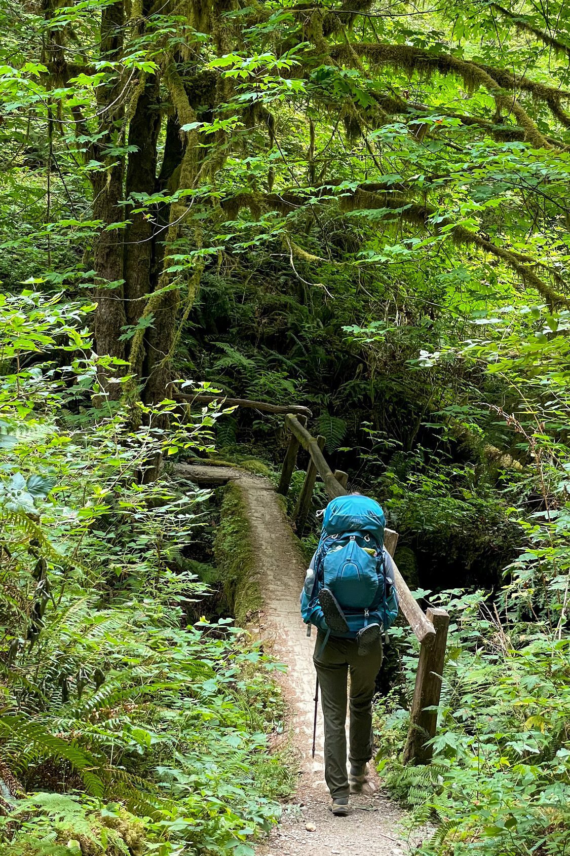 Enchanted valley backpacking best sale