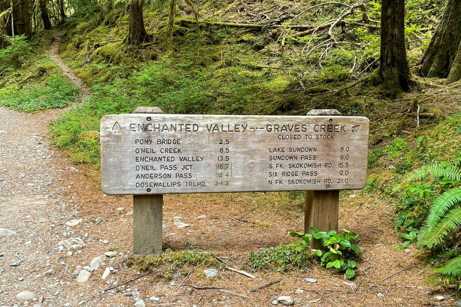 The Amazing Enchanted Valley Trail In Olympic National Park