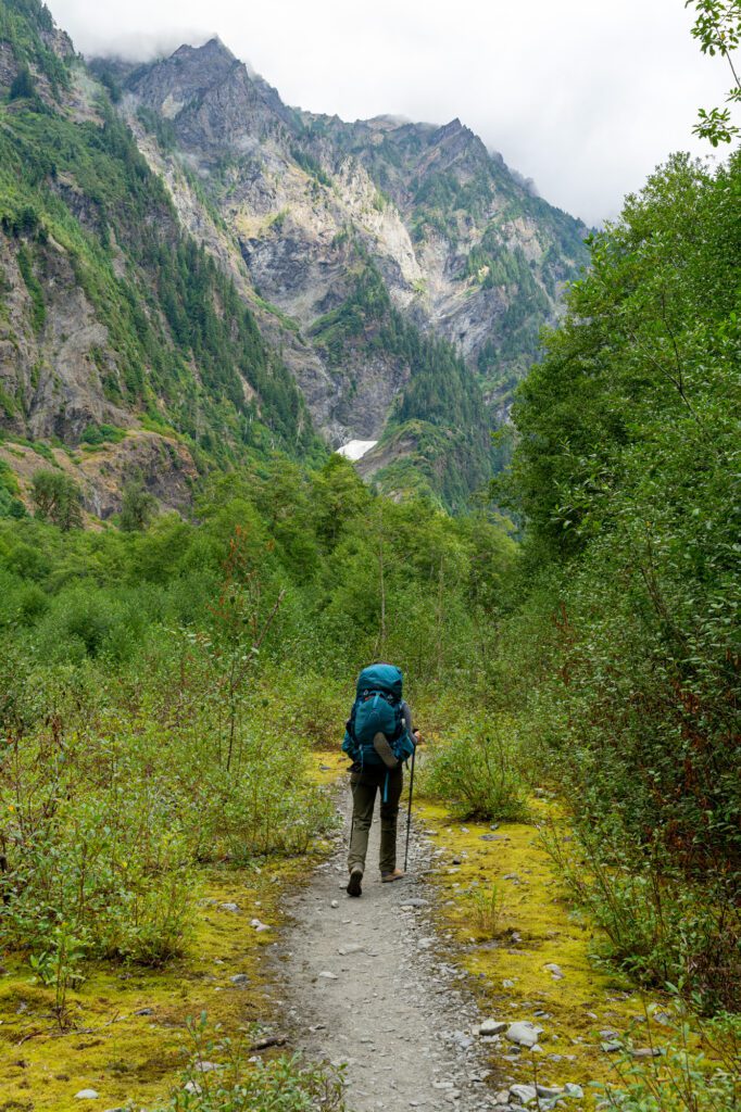 The Amazing Enchanted Valley Trail In Olympic National Park