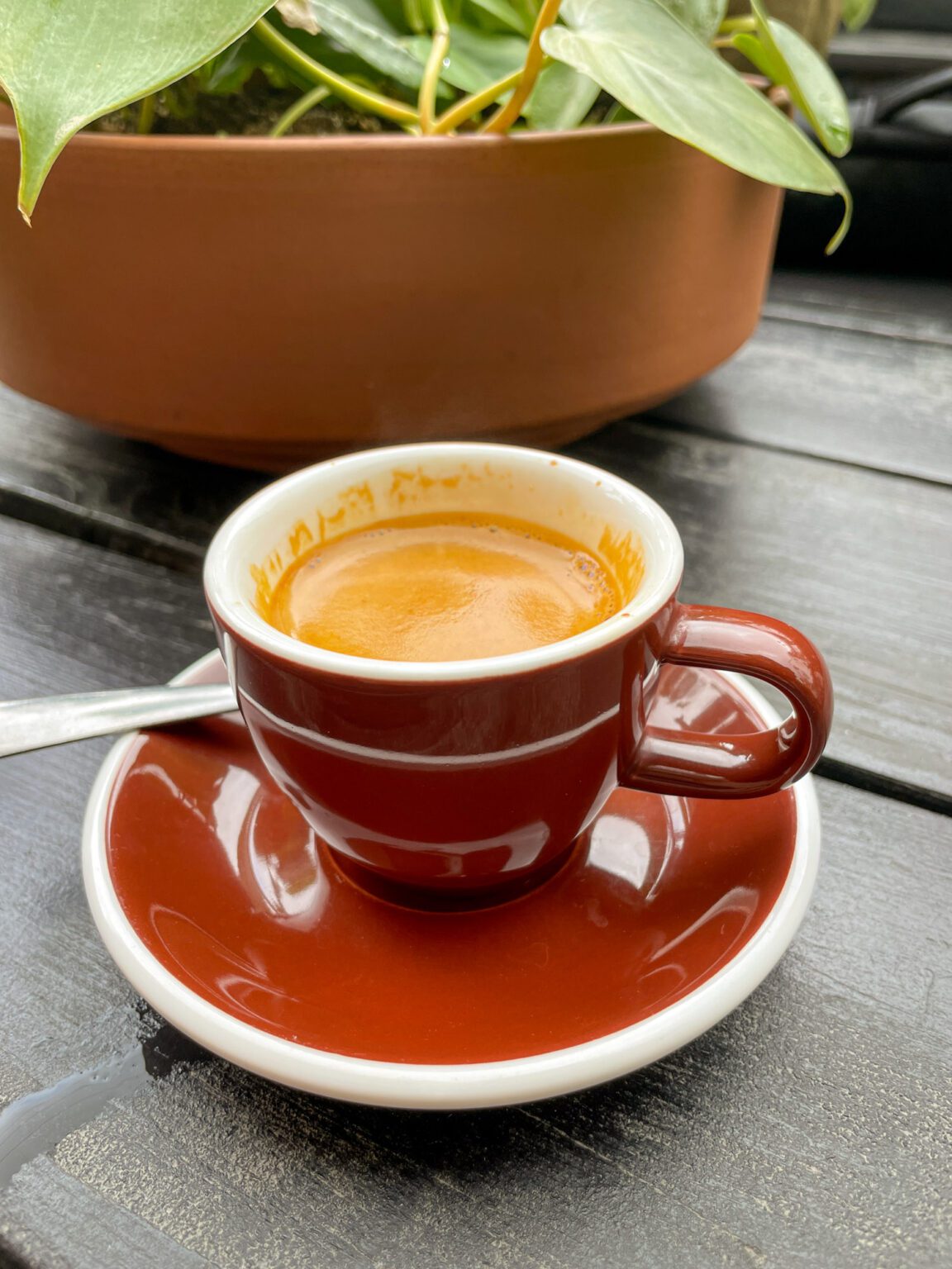 The Best Coffee In Montreal 10 Incredible Montreal Cafes