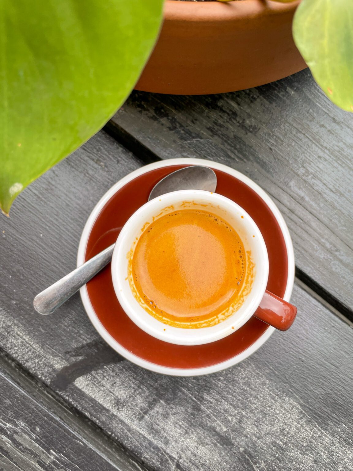 The Best Coffee In Montreal 10 Incredible Montreal Cafes