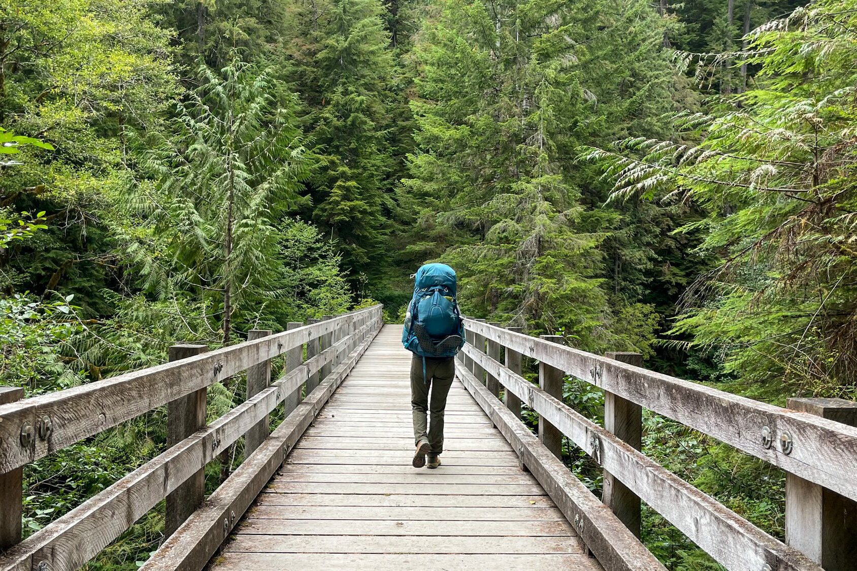 The Amazing Enchanted Valley Trail In Olympic National Park